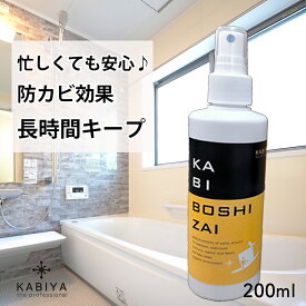 【同梱で送料無料】カビ防止剤 お試し200ml 防カビスプレー 防カビコーティング 防カビ剤 カビ予防 防かび カビ防止 カビ対策 除菌 消臭 スプレー 畳 布製品 革製品 お風呂 浴室 洗面所 クローゼット お風呂掃除 大掃除 グッズ 防カビ 靴箱 押し入れ ベット