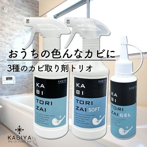 Jr܃gI KABITORIZAI(Jr) 450mlEKABITORIZAI SOFT ( \tg) 450mlEKABITORIZAI GEL (WF) 100g Jr тƂ hJr Xv[ Jr Zbg