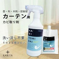 カビ取り剤 洗えないカーテンのカビに カビ取りスプレー ソフト セット 洗い流し不要 色落ちしにくい 布…