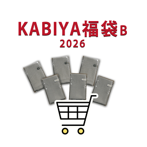 2026  Ԍ蕟 KABIYAlC̃Lb`NX 6Zbg