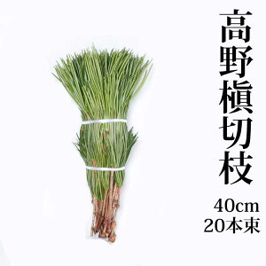 얊 ؎} 40cm 20{g 1  ؉ K-10