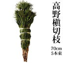 高野槙 切枝 70cm 5本組 1束 生花 切花 仏花 墓花 生花 切花 切り花 生花 配達 枝 枝もの 宅配 お供え花 お供え物 お…