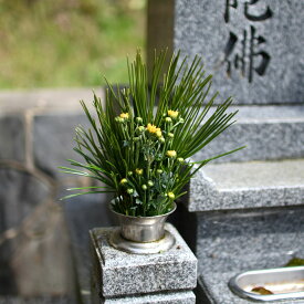 高野槙 花台 40cm 1束 K-2 仏花 墓花 生花 切花 切り花 配達 枝 枝もの 宅配 お供え物 お供え