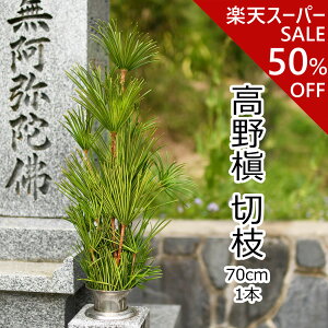 yyVX[p[SALE zz̗ji 얊 ؎} 70cm 1{  ؉