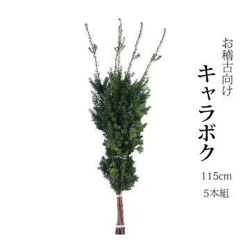 楽天市場 枝もの キャラ 高野槇と春夏秋冬の花枝 花木屋