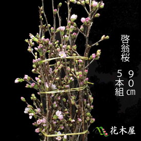 楽天市場 桜 花束 切花 花 観葉植物 花 ガーデン Diyの通販