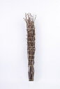 【10月20頃より出荷】寒桜 高さ 約1.15m 100cm以下10本束 1束 切花 枝もの