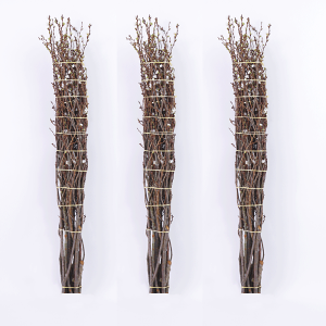   1.15m 100cmȉ10{ 1 ؉ }