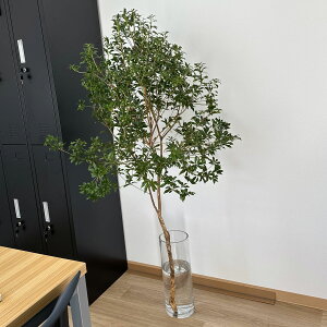 } AZr n ؉  } } 80cm` CeAO[