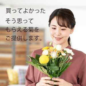 【お盆のご予約承ります】菊の花輪菊白70〜80センチ10本切花生花お盆お供え花予約