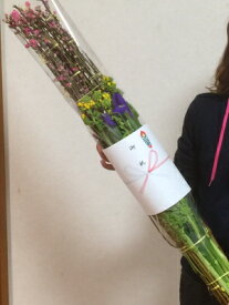 【2026年2月3日以降の出荷・予約品】桃の花束 基本セット 桃の花 桃 送料無料 ナタネ イリス プレゼント
