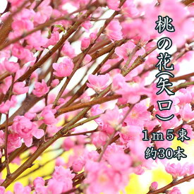 楽天市場 ひなまつり 桃の花の通販