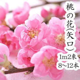 楽天市場 桃の花 枝の通販