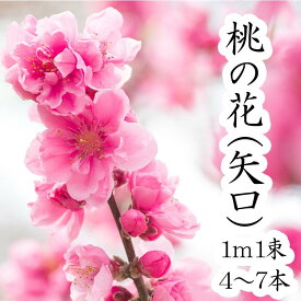楽天市場 ひなまつり 桃の花の通販