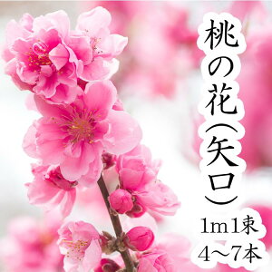 生花 アレンジメントフラワー ひな祭りの人気商品 通販 価格比較 価格 Com