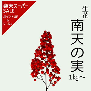 yyVX[p[SALE |CgAbvN[|zV̎  1kg  }