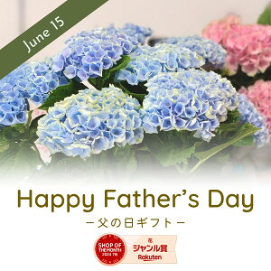 z HFAWTC }WJ{[V  ԃMtg u[ sN Of[V Ԕ ԔMtg 5 Fς AWTC  nChWA A  ̓ ̓ a