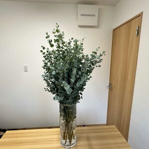 } [J Oj[[J  ؉ 70`120cm