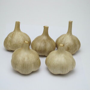 ɂɂ 5Zbg [ʍɂɂ f ]