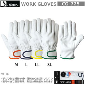 V{v܁@CG-725@itjiӂFFMIWELu[ELLCG[ji10ogjy{v܁E؊v܁Ev܁EICv܁EW[܁EƎ܁Ev