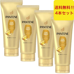 P&G pe[ 􂢗 g[gg GNXg_[WPA fC[C TCY 300g ؂ } C TNIeB PANTENE ܂Ƃߔ