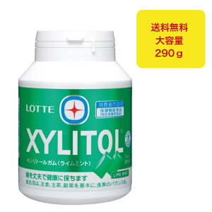 be LVg[ XYLITOL K{g C~g K 290g e 2Zbg 3Zbg {g یpHi   H N v  }`g[ VK[X \h