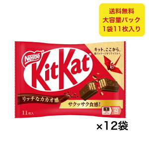 lX LbgJbg 11×12 e  ~N`R[g EGn[X XibNo[ َq  VFA v[g