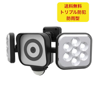 ���T�V RITEX �t���[�A�[����LED�Z���T�[���C�g�h�ƃJ����(8W×2��) �h�J�^ C-AC8160