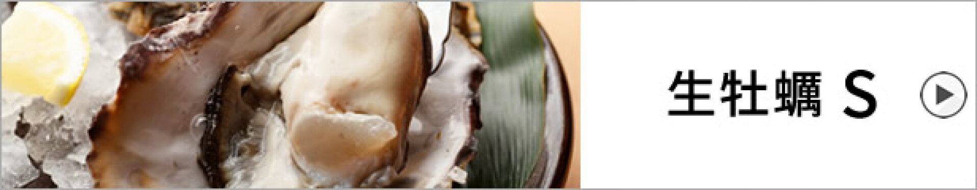 生牡蠣S