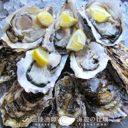 楽天市場 カキ 生牡蠣 殻付き 生食用 牡蠣 特大l 10個生ガキ 大粒カキ 三陸宮城県産 雄勝湾 おがつ湾 漁師直送 お取り寄せ 新鮮生がき ギフト プレゼント 三陸カキ漁師 海遊