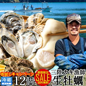 牡蠣 SALEカキ 生牡蠣 殻付き 生食用 中サイズ 12個【軍手1・ナイフ1 無料サービス中】 食べやすい 生ガキ 三陸宮城県 石巻産 カキ漁師直送 お取り寄せ 生産者支援 送料無料 おすすめ 激安 お買い得 お試しキャンペーン［ 母の日 ギフト 2024］