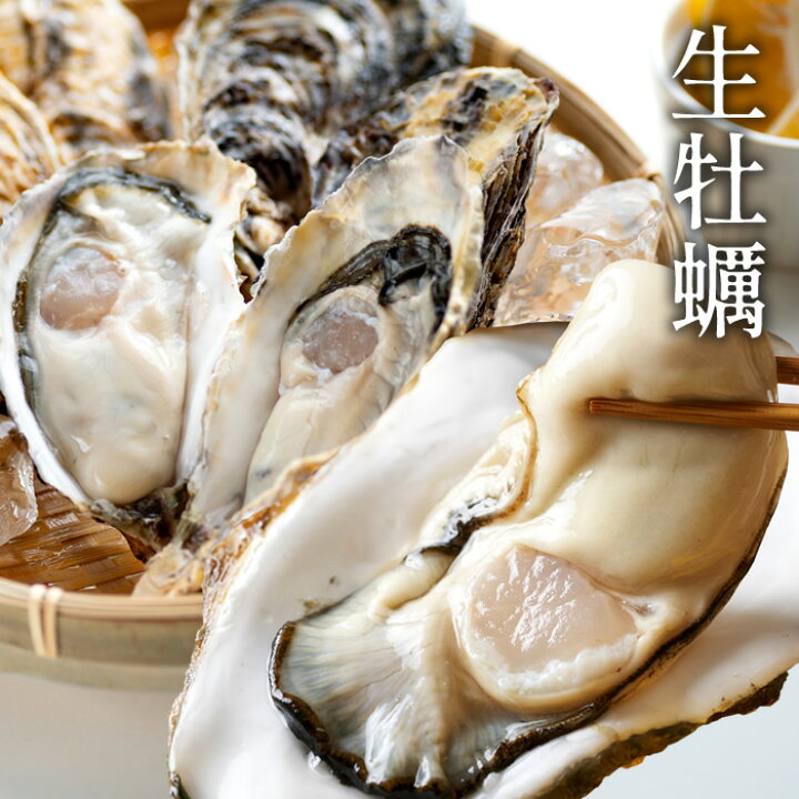 楽天市場】カキ 生牡蠣 殻付き 特大 夢牡蠣 5個生食用 生ガキ 大粒カキ  