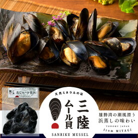 三陸ムール貝 蒸しムール貝［大サイズ］500g 冷凍タイプ 雄勝湾の海と山の潮味香る 宮城県産 漁師直送［秋の味覚 ふるさとギフト］