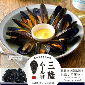 O[L [LmTCYn500g Ⓚ^Cv Yp̊CƎR̒ {錧Y tmH̖o ӂ邳ƃMtgn