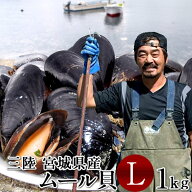 今が旬／三陸ムール貝［大］1kg【満天青空レストラン】殻付き 活ムール貝 宮城県石巻産 雄勝湾 とれたて…
