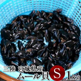 生ムール貝 小 1kg三陸宮城県 石巻産 漁師直送 活ムール貝（ムールガイ イガイ ムラサキ貝 カラス貝）［ 母の日 ギフト 2024］