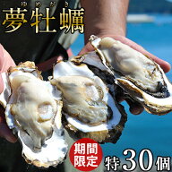 カキ 生牡蠣 殻付き 特大 夢牡蠣【30個入】今が旬 日本トップクラスの大ぶりブランド牡蠣 生食用 生ガキ …