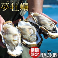 カキ 生牡蠣 殻付き 特大 夢牡蠣【5個入】今が旬 日本トップクラスの大ぶりブランド牡蠣 生食用 生ガキ …