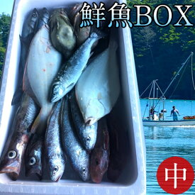 楽天市場 魚 イシモチ 石の通販