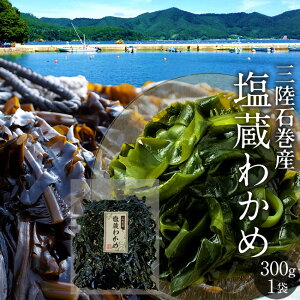 O 킩 {錧ΊY 300g×1 ʂJ hg X`T_ɌNH \C