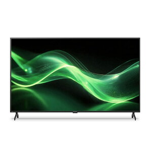 4T-C50GJ1 V[v SHARP ANIX AQUOS 4Kter 50V^ 4K_u`[i[ OtHDDΉ ^er ᔽ 4K