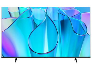 65E6N �n�C�Z���X Hisense 65V�^ 4K �t���X�}�[�g�e���r E6N�V���[�Y �n��EBS�E110�xCS�f�W�^�� 4K����
