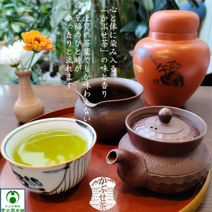 楽天市場】黒赤ムキカット急須 宝龍作 常滑焼き 陶器 陶製茶こし セラ 