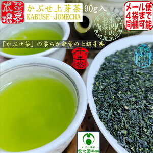Ԃ蒃 1(90g) i:Ԃ Ԃ { t̂ Vt OdY   Β t t ̗t 肢 | Ö ㋉蒃 Β  ⒃ a 