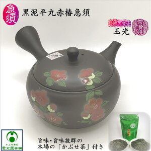 DېԒ֋}{ uԂvt ʌ `H|m ʌ ~A 튊Ă   葢  { Gt ΂ Đ F  􂢂₷ g₷