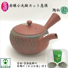 赤練小丸縦カット急須 「かぶせ茶」付き 陶仙 常滑焼き 陶器 陶製茶こし 手造り 手作り 日本製 国産 練込模様 ソギ 削り 朱泥 茶っ切り急須 美味しいお茶 洗いやすい 使いやすい お洒落 趣き 上品 セラメッシュ おうちカフェ 落ち着き 癒し リラックス ギフト プレゼント