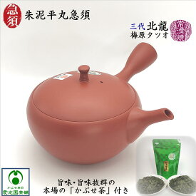 朱泥平丸急須 「かぶせ茶」付き 北龍 北龍陶園 梅原タツオ 常滑焼き 陶器 陶製茶こし セラメッシュ 日本製 朱泥 シンプル マット 平丸型 手造り 手作り おうちカフェ 作家物 注ぎやすい 洗いやすい 使いやすい 茶殻が捨てやすい 上品 趣き お洒落 存在感 ギフト プレゼント