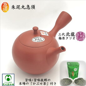 朱泥丸急須 「かぶせ茶」付き 北龍 北龍陶園 梅原タツオ 常滑焼き 陶器 陶製茶こし セラメッシュ 日本製 朱泥 シンプル マット 丸型 手造り 手作り おうちカフェ 作家物 注ぎやすい 洗いやすい 使いやすい 茶殻が捨てやすい 上品 趣き お洒落 存在感 ギフト プレゼント