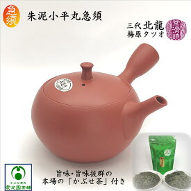 朱泥小平丸急須 「かぶせ茶」付き 北龍 北龍陶園 梅原タツオ 常滑焼き 陶器 陶製茶こし セラメッシュ 日本製 朱泥 シンプル マット 平丸型 手造り 手作り おうちカフェ 作家物 注ぎやすい 洗いやすい 使いやすい 茶殻が捨てやすい 上品 趣き お洒落 存在感 ギフト プレゼント