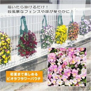 yrIt[pE`zF1ViVi@[YsNAeB[N